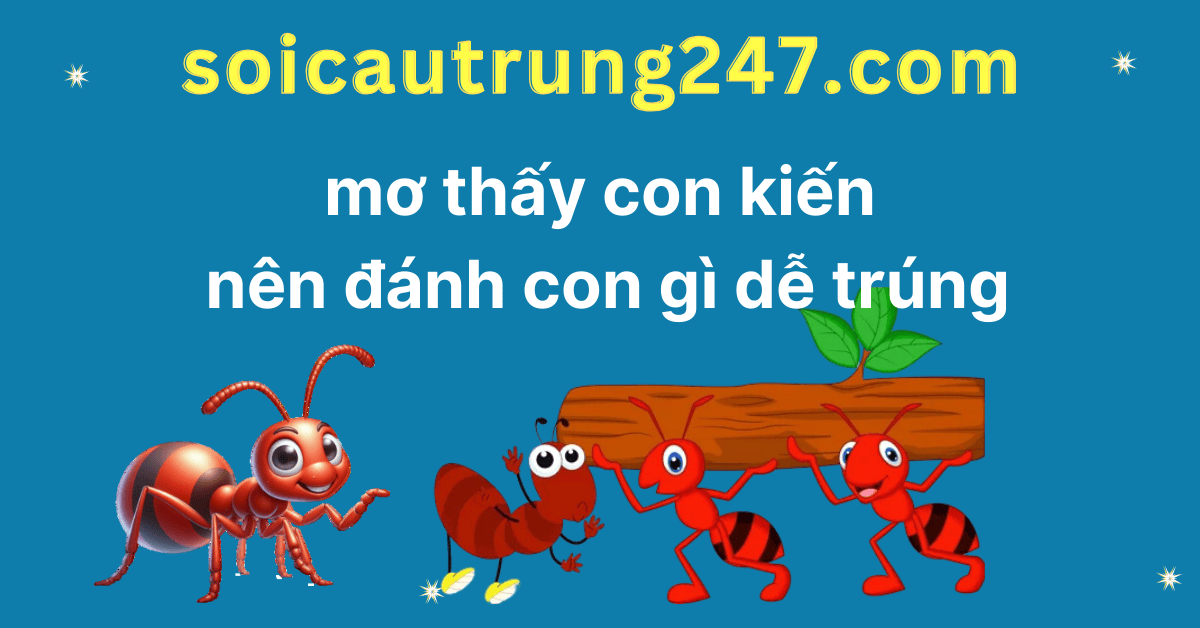 Mơ thấy con kiến nên đánh số gì dễ trúng